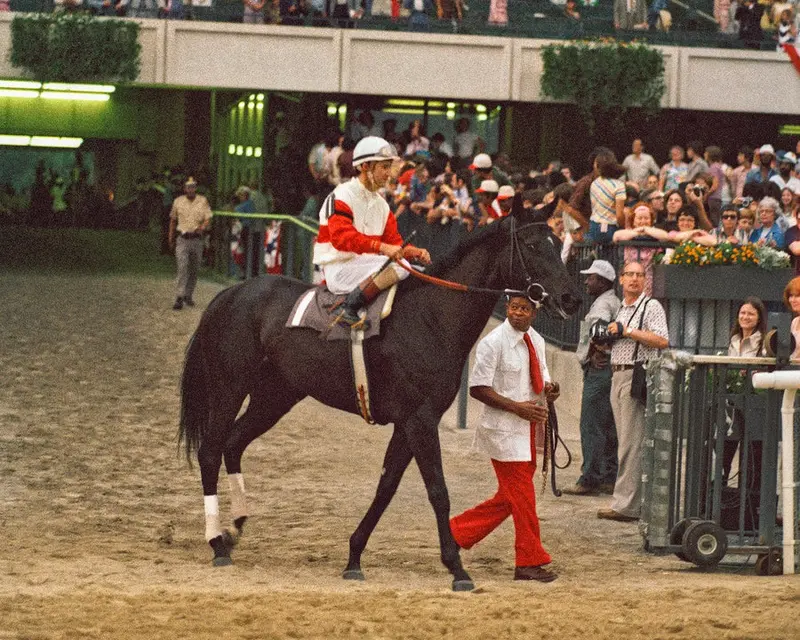 Ruffian Photographs 1