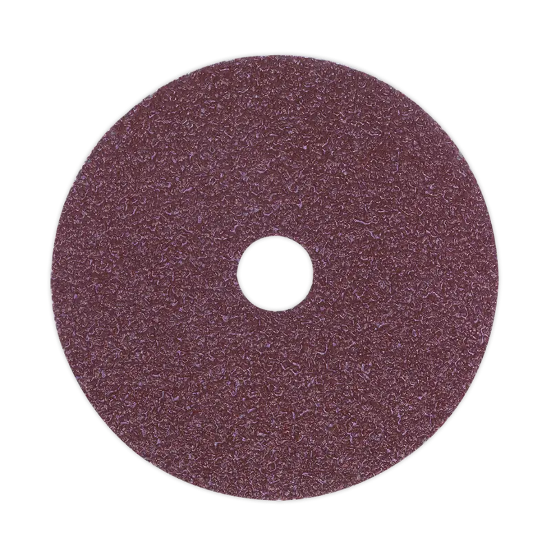 Sanding Disc Fibre Backed Ø100mm 24Grit Pack Of 25 1