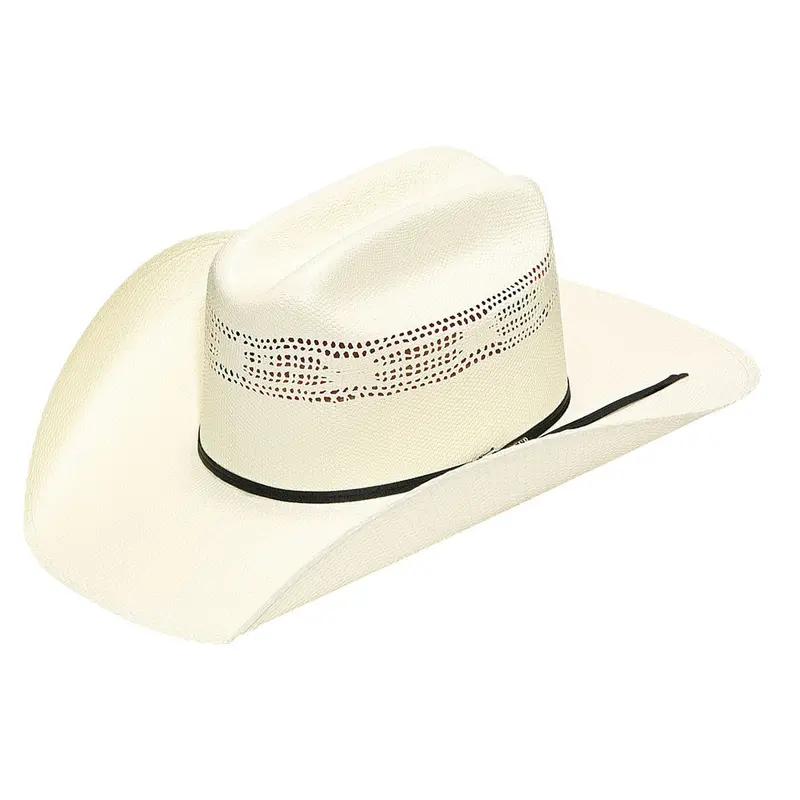 T71800 Twister Painted Bangora Western Straw Hat 1