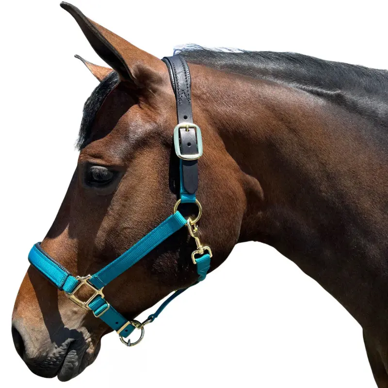 Th42 Premium Nylon Breakaway Halter With Padded Crown And Nose 1