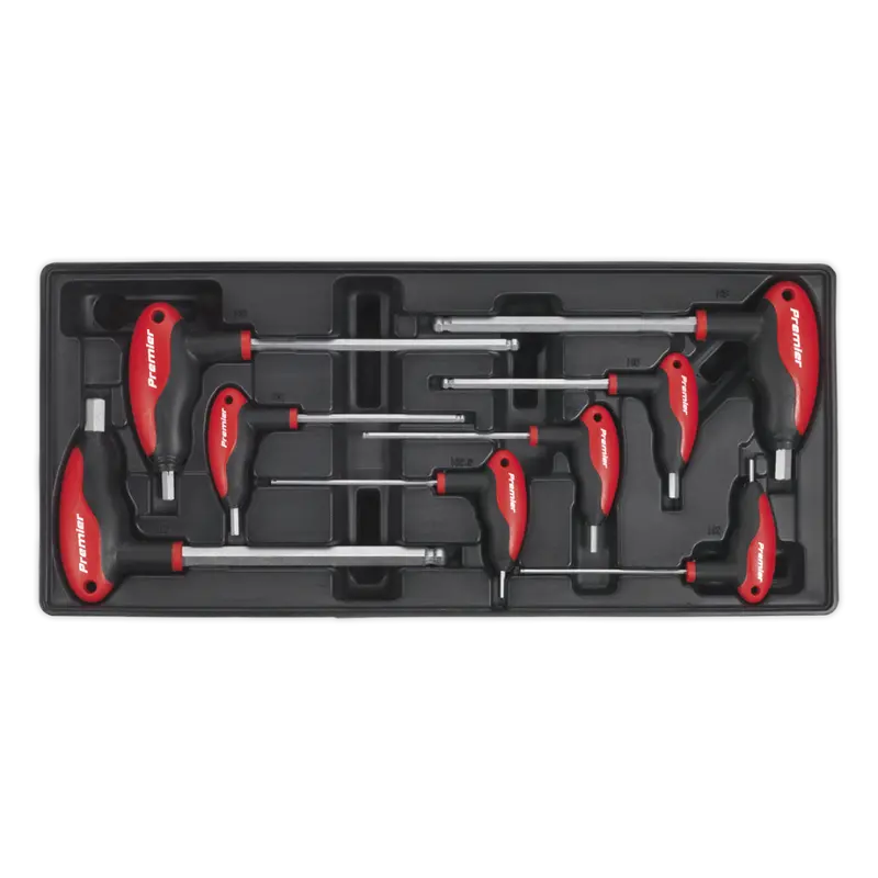 Tool Tray With T-Handle Ball-End Hex Key Set 8Pc 1