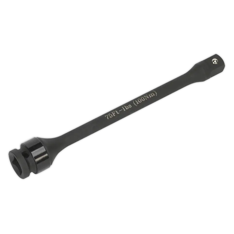 Torque Stick 1-2"Sq Drive 100Nm 1