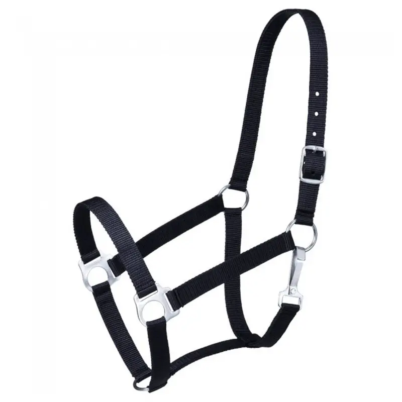 Tough-1 Economy Horse Halter – Reliable Nylon Training Halter