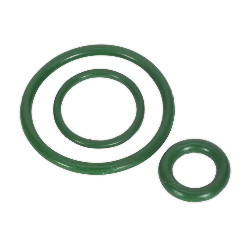Viton® Seal Kit For Scsg02 & Scsg03 1