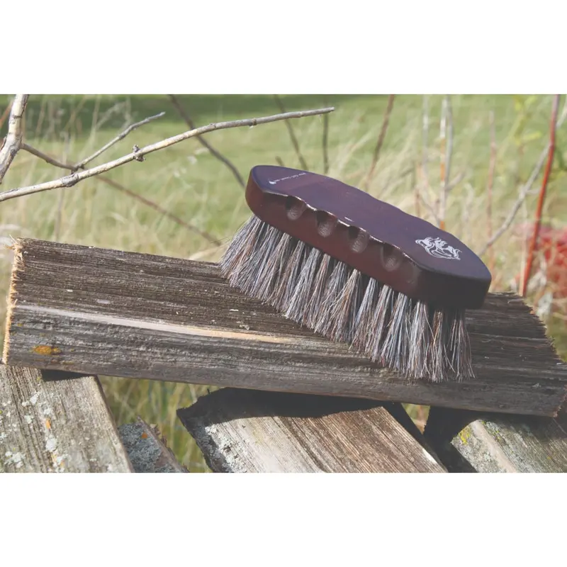 W200 Tail Tamer By Professional's Choice Wood Series Small Horsehair Brush 1