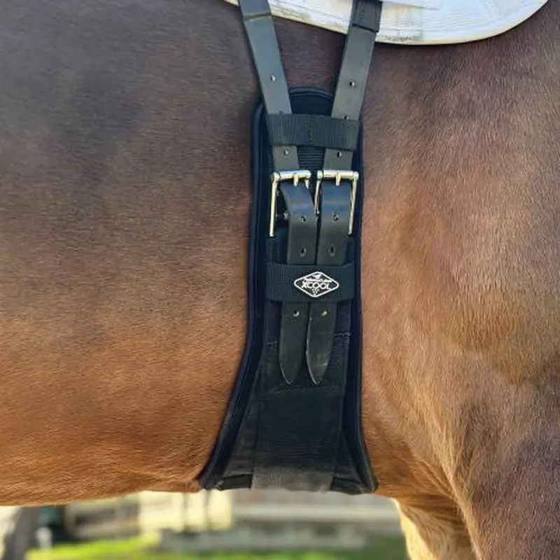 Xcdg Professional's Choice 2Xcool Dressage Girth - Black 1